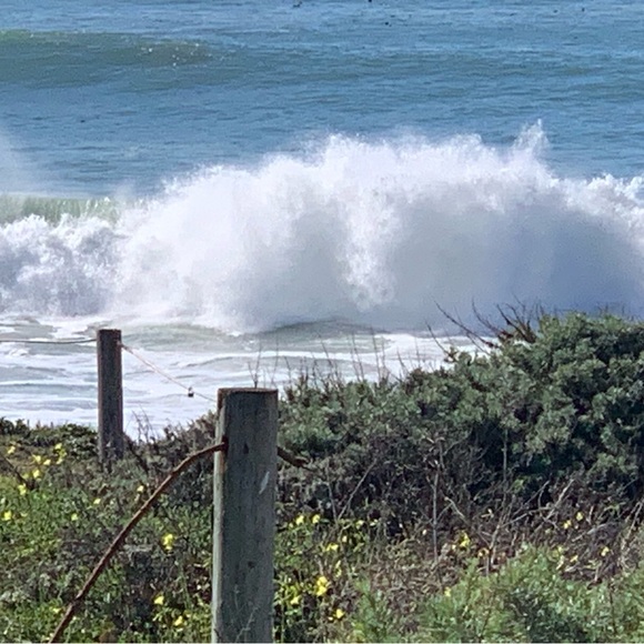 Meet your Posher, Debra - Picture 7 of 13